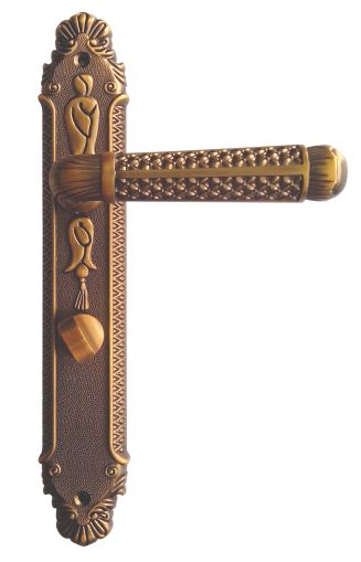 Λαβή πόρτας WZ12-Z203-service