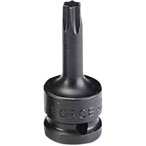 Μύτη καρυδάκι αστέριας 1/2"Dr. T25 (ένα τεμάχιο), 24606025